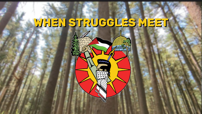 When Struggles Meet